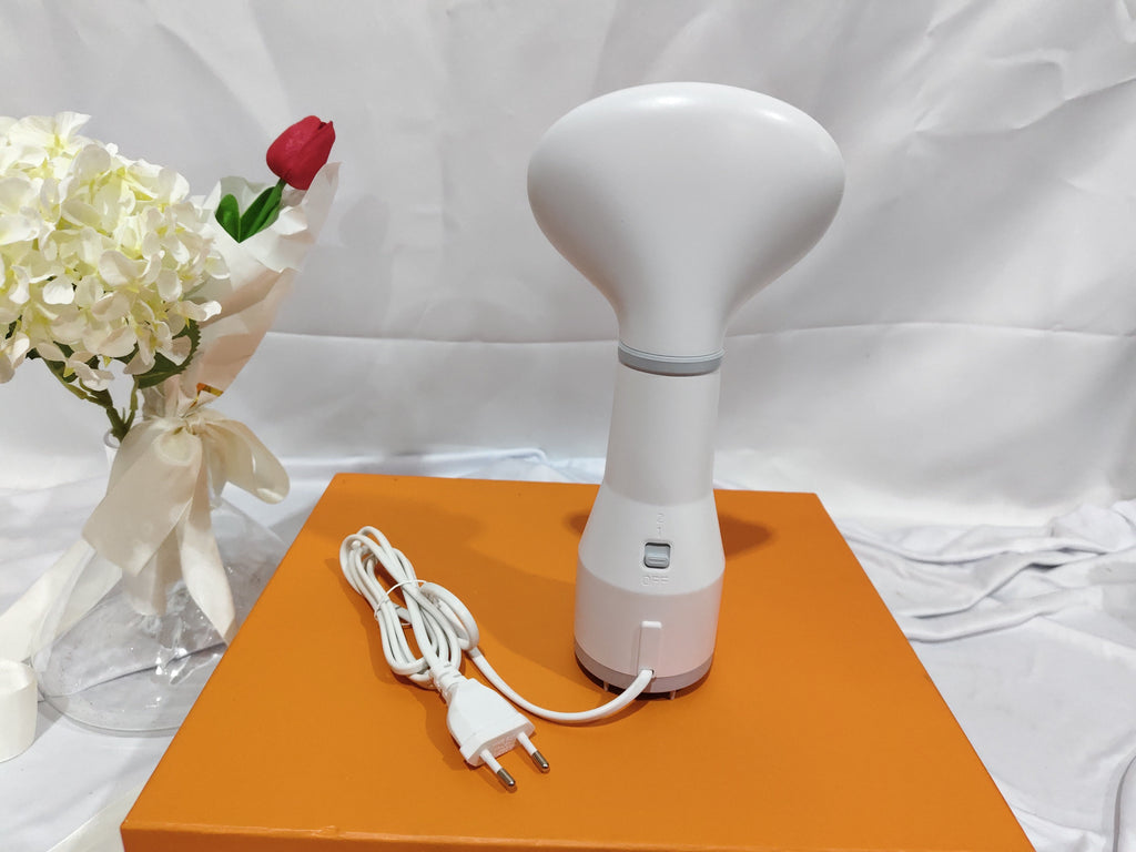 Dadypet 2-in-1 Pet Hair Dryer & Slicker Brush - SqueakyPet