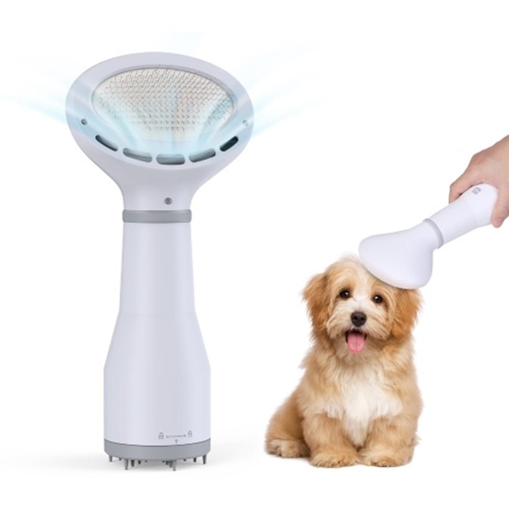 Dadypet 2-in-1 Pet Hair Dryer & Slicker Brush - SqueakyPet
