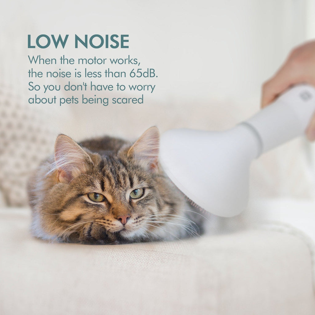 Dadypet 2-in-1 Pet Hair Dryer & Slicker Brush - SqueakyPet