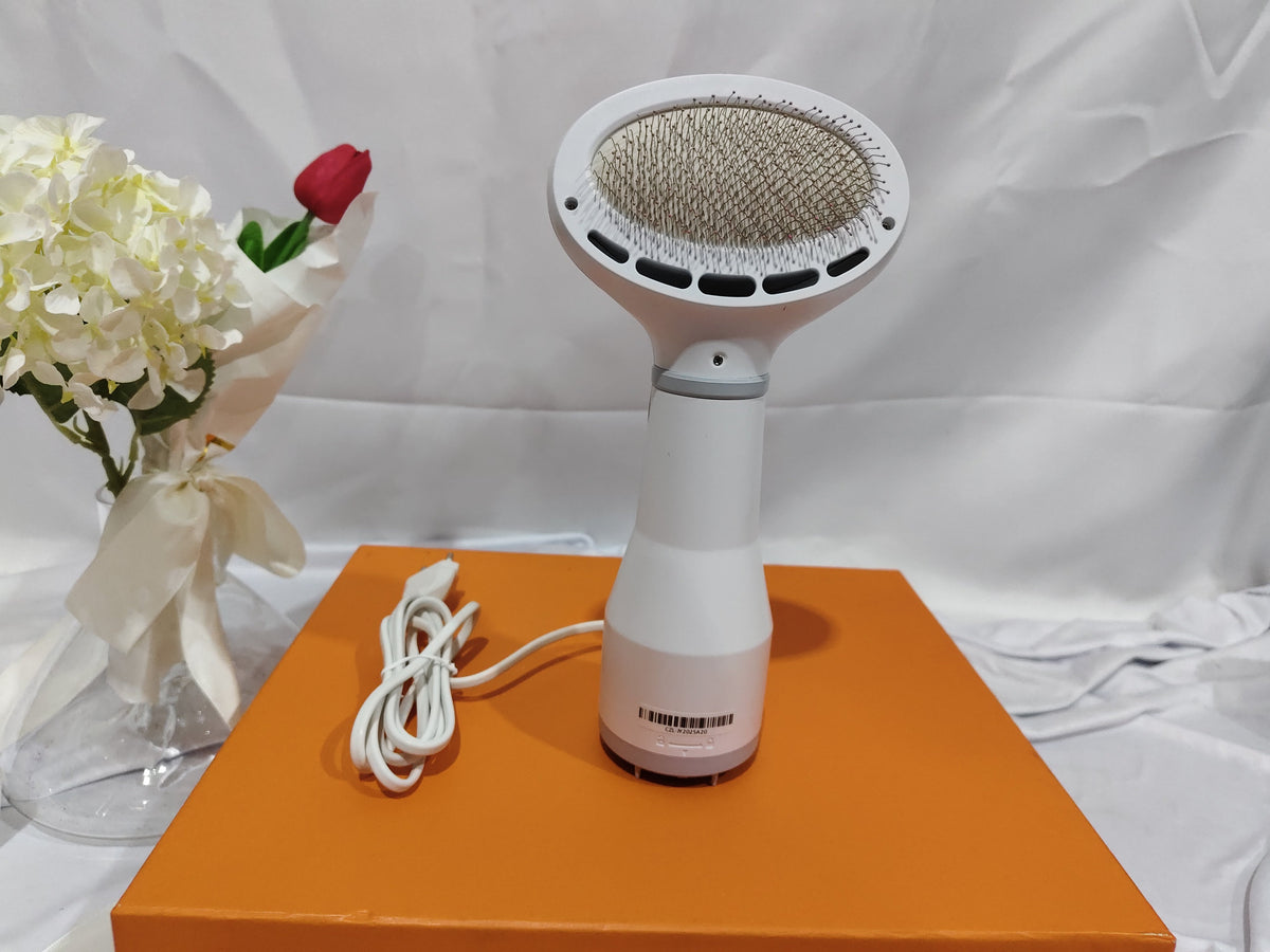 Dadypet 2-in-1 Pet Hair Dryer & Slicker Brush - SqueakyPet