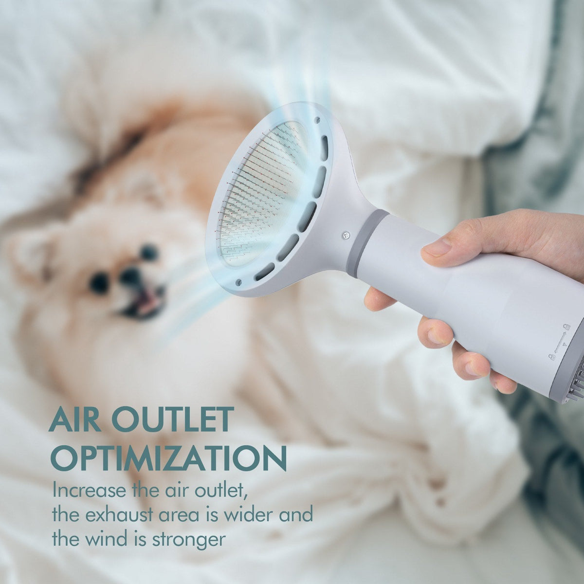 Dadypet 2-in-1 Pet Hair Dryer & Slicker Brush - SqueakyPet