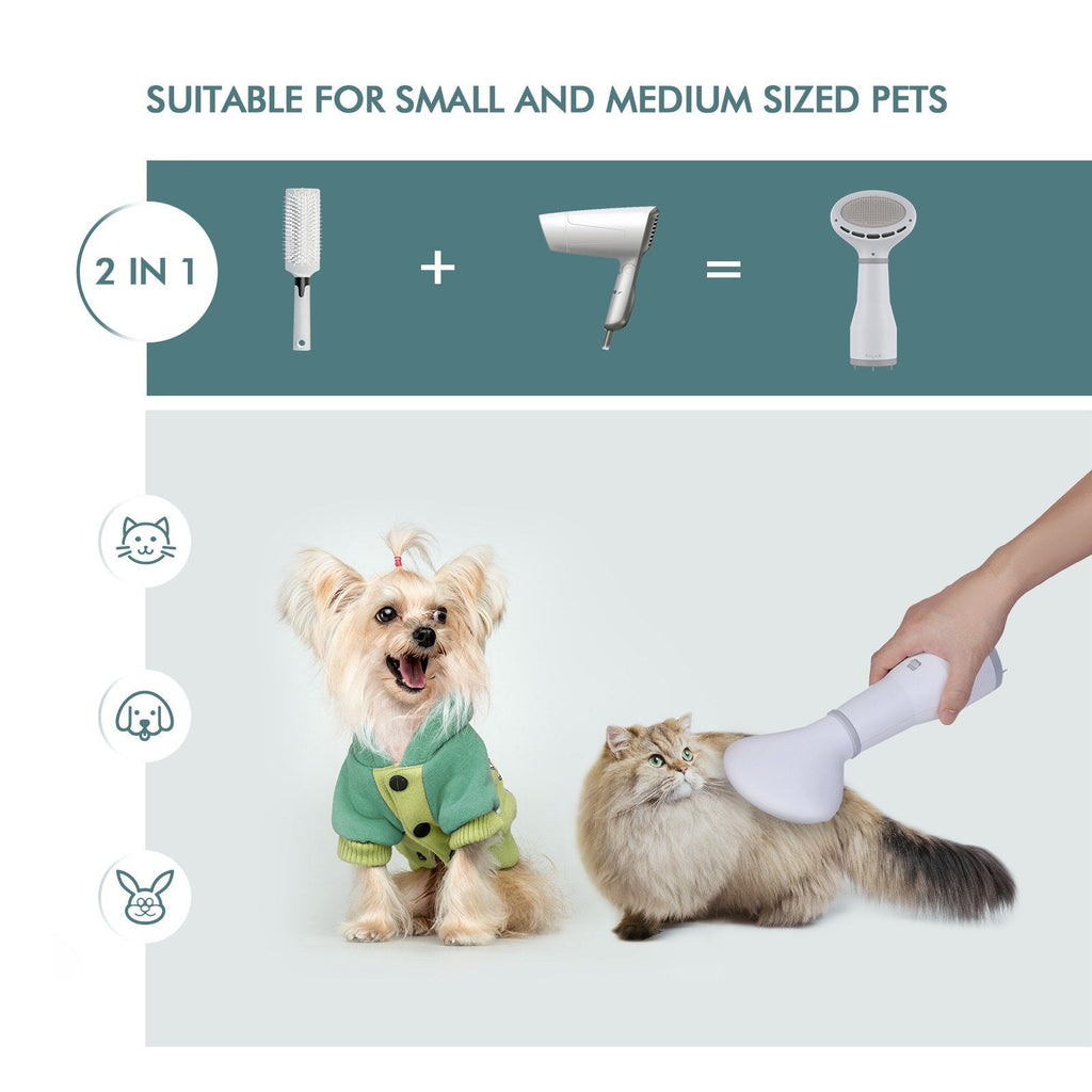 Dadypet 2-in-1 Pet Hair Dryer & Slicker Brush - SqueakyPet