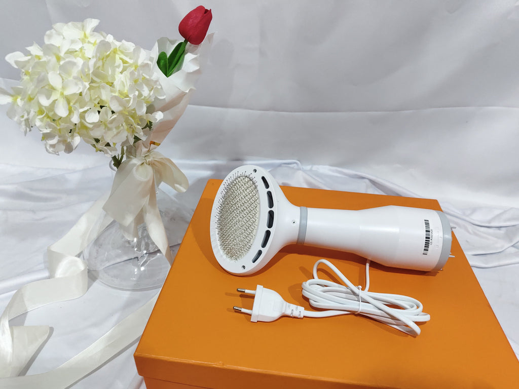 Dadypet 2-in-1 Pet Hair Dryer & Slicker Brush - SqueakyPet