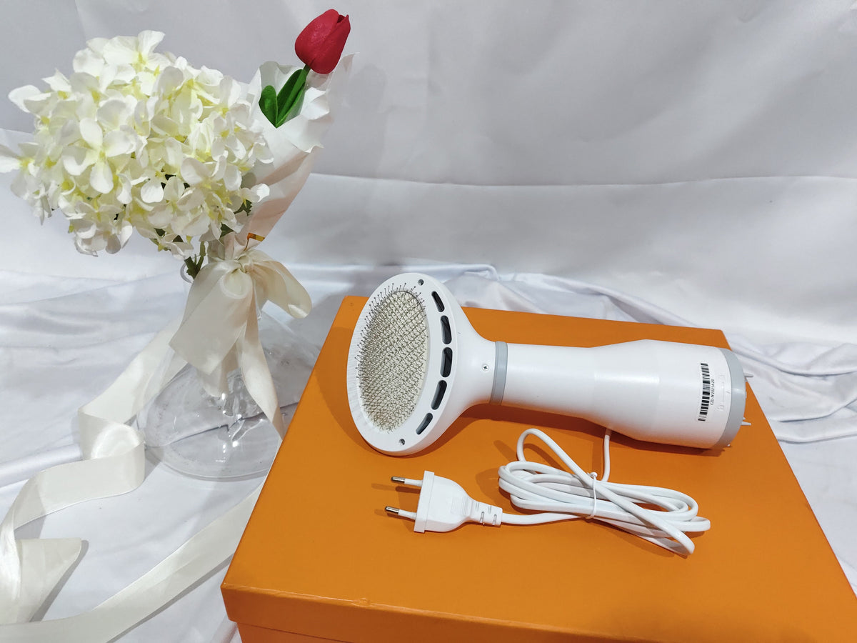 Dadypet 2-in-1 Pet Hair Dryer & Slicker Brush - SqueakyPet