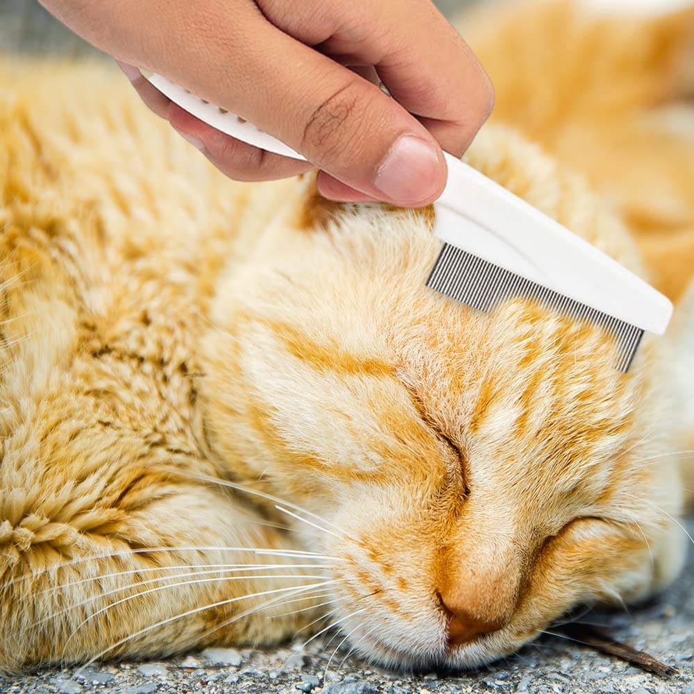 Multifunctional Pet Comb & Tear Stain Remover - SqueakyPet