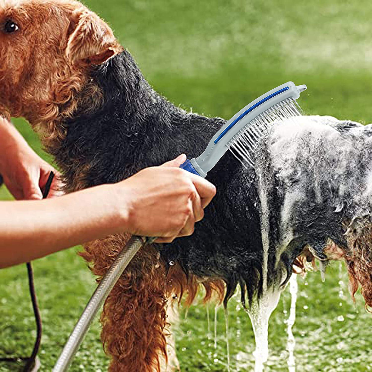 Pet Grooming Shower Brush with Hose Attachment - SqueakyPet