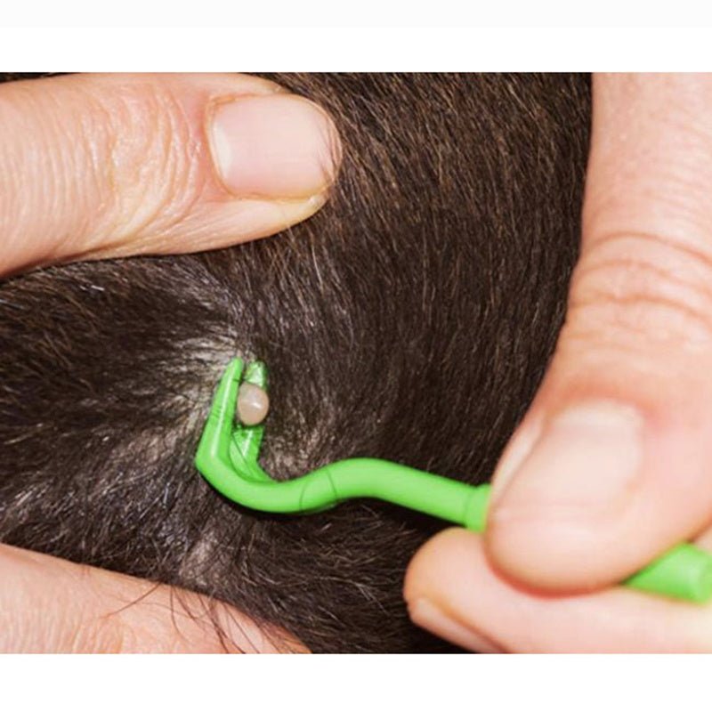 Pet Tick Remover Tool Set - 3pcs Flea & Lice Removal Hook Comb for Dogs, Cats & Kittens - SqueakyPet