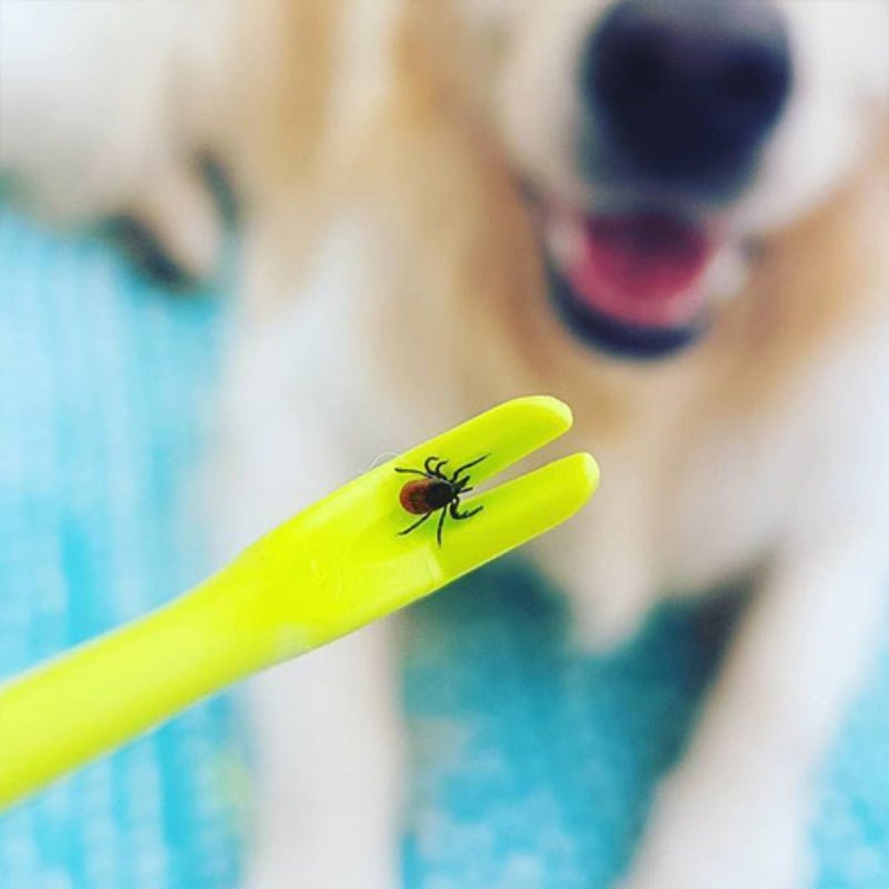 Pet Tick Remover Tool Set - 3pcs Flea & Lice Removal Hook Comb for Dogs, Cats & Kittens - SqueakyPet